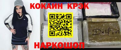 бошки Кингисепп