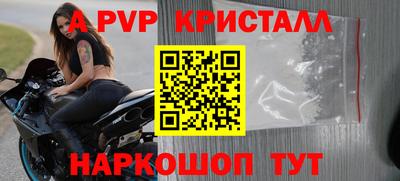 бошки Кингисепп