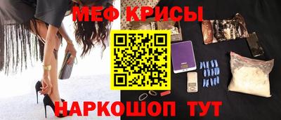 бошки Кингисепп