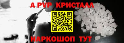 бошки Кингисепп