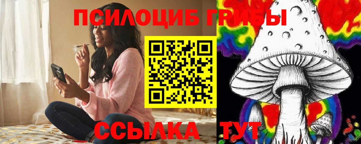 Псилоцибиновые грибы мухоморы Кингисепп
